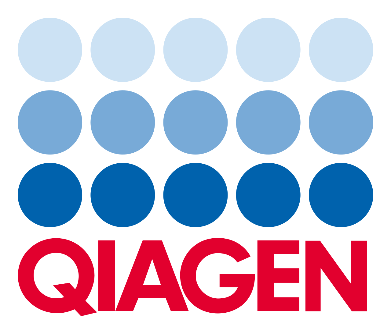 Client 8